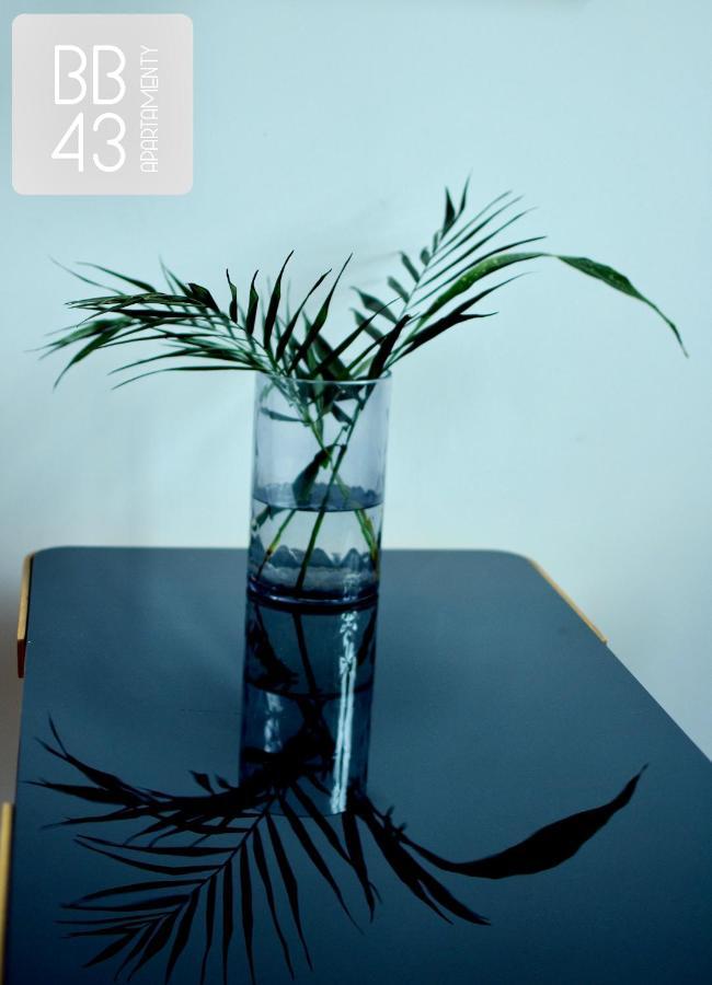 Apartamenty Bb43 Bielsko-Biała Buitenkant foto